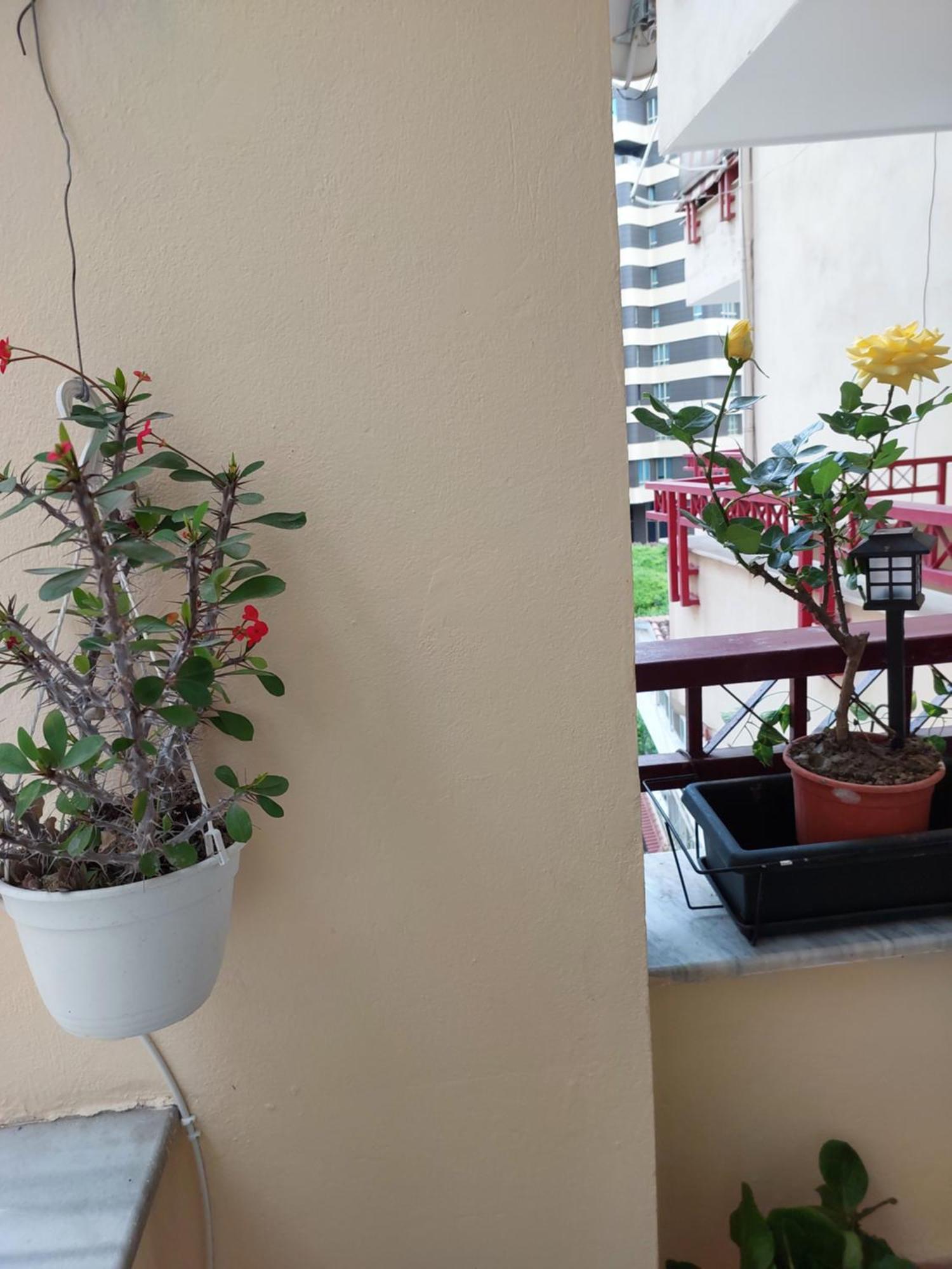 A'Studio Tiranë Ngoại thất bức ảnh